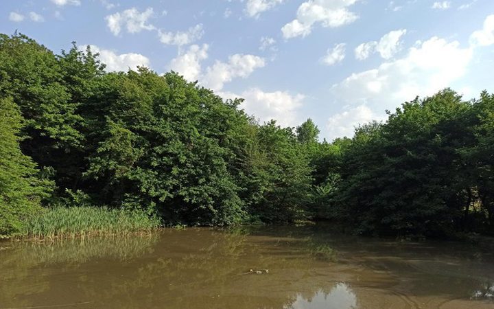 نیزه کوه گیلان
