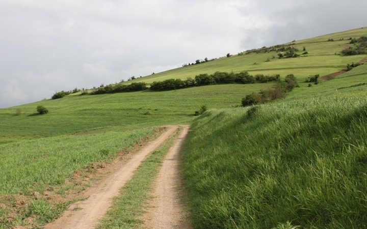 خرید زمین در دیزکوه