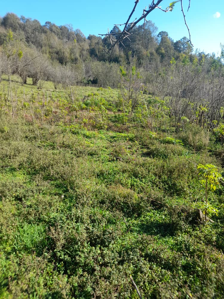 IMG-20231119-WA0018
