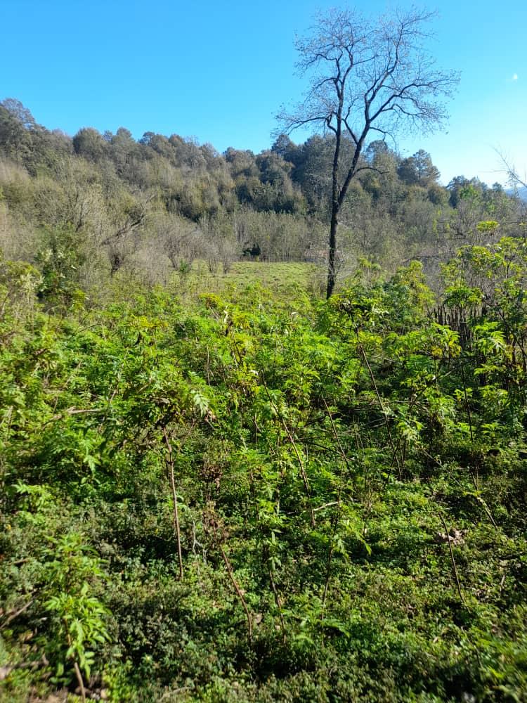 IMG-20231119-WA0019