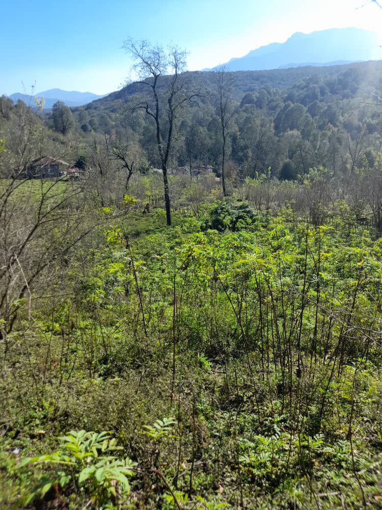 IMG-20231119-WA0020