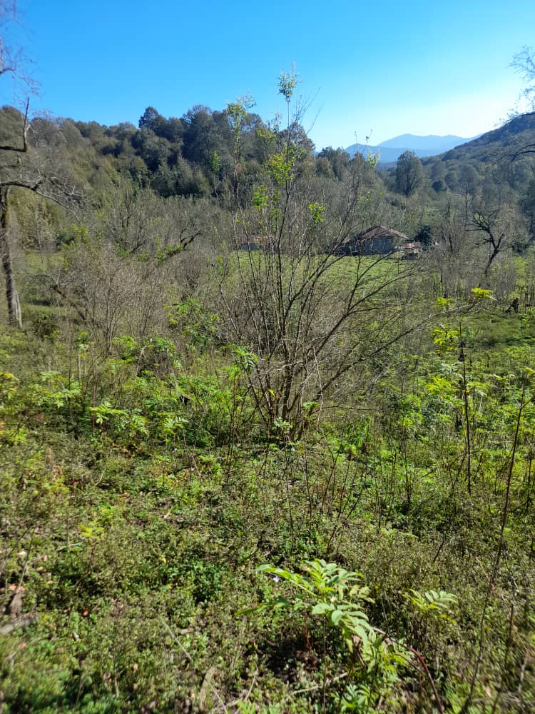 IMG-20231119-WA0021