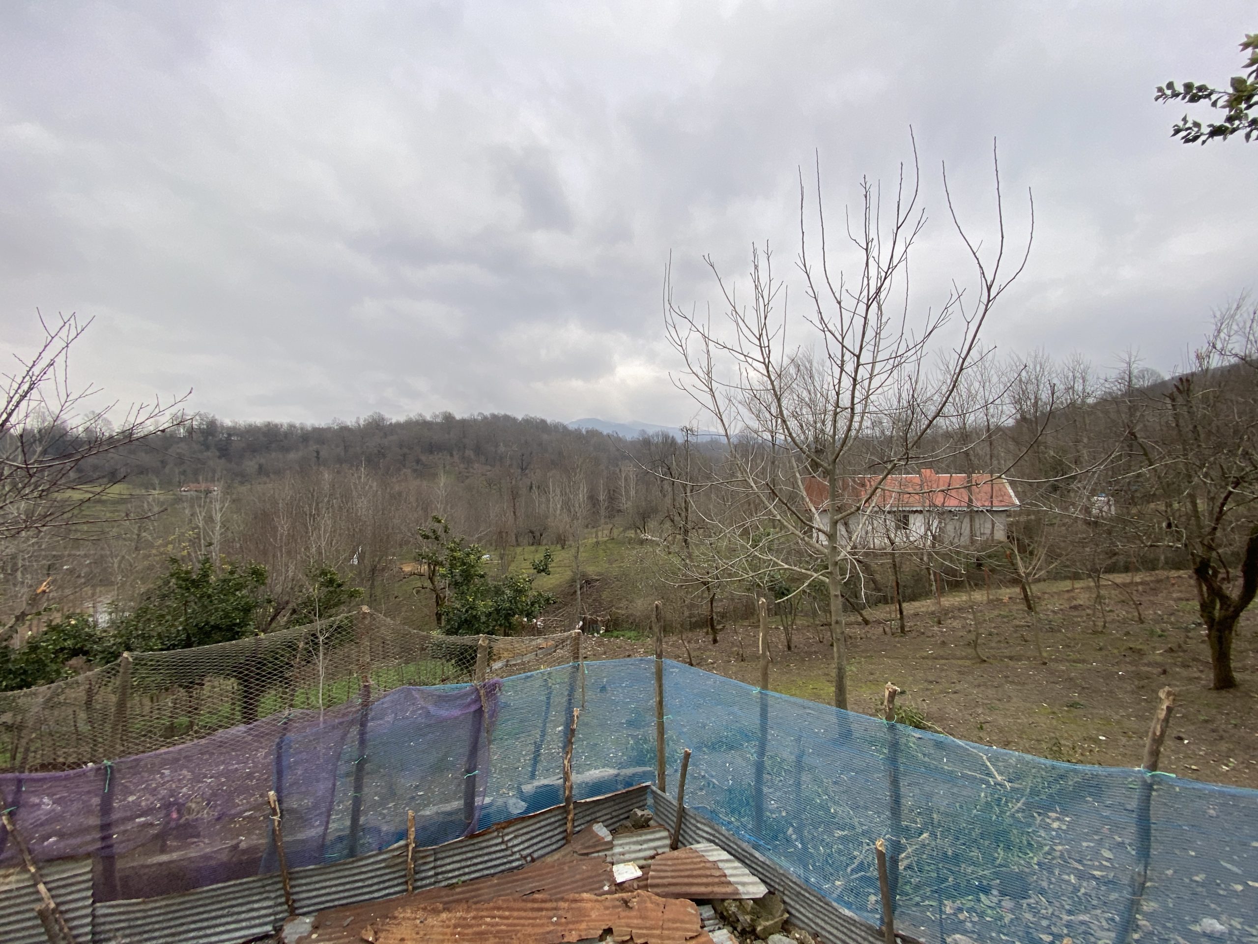 8EE35E28-4975-446D-8741-A9068410B753