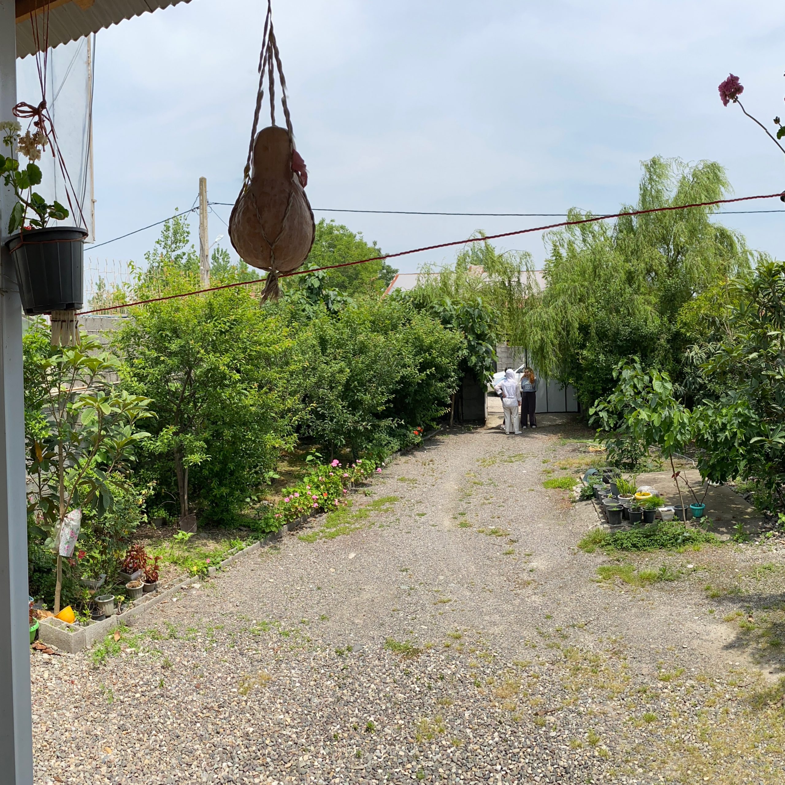 photo-output_1