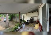photo-output_2-4