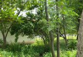photo-output_3