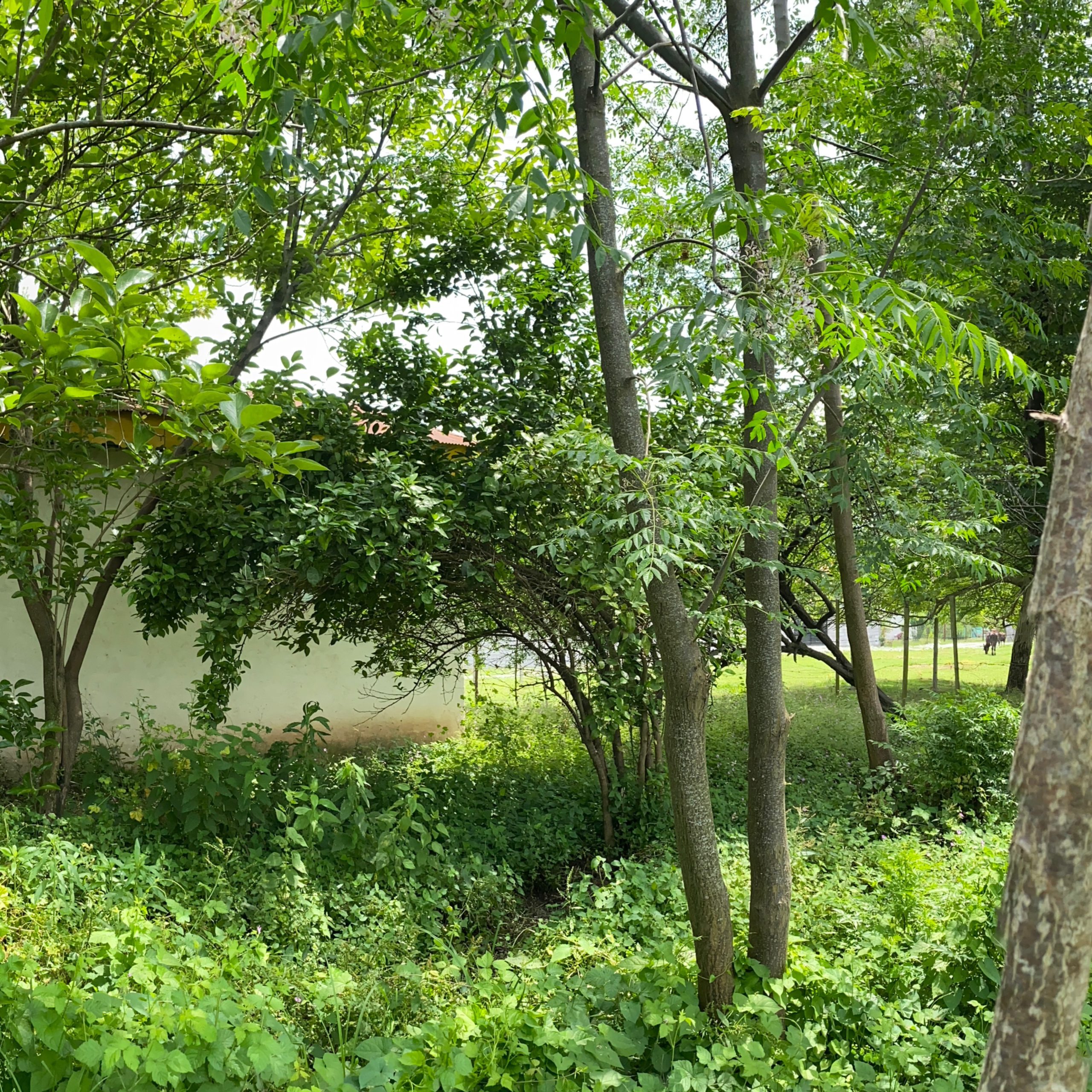 photo-output_3