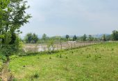 photo-output_4
