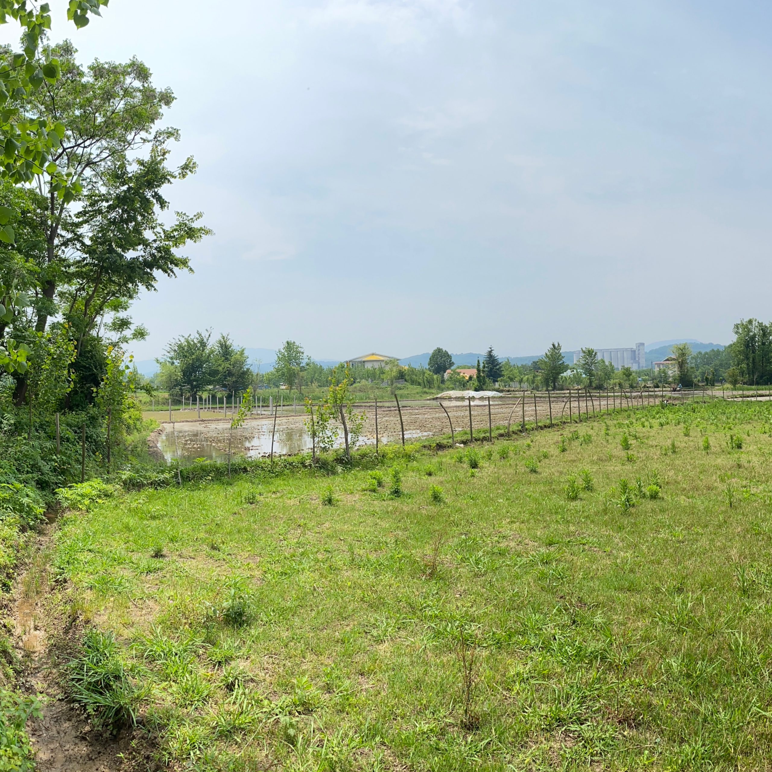 photo-output_4